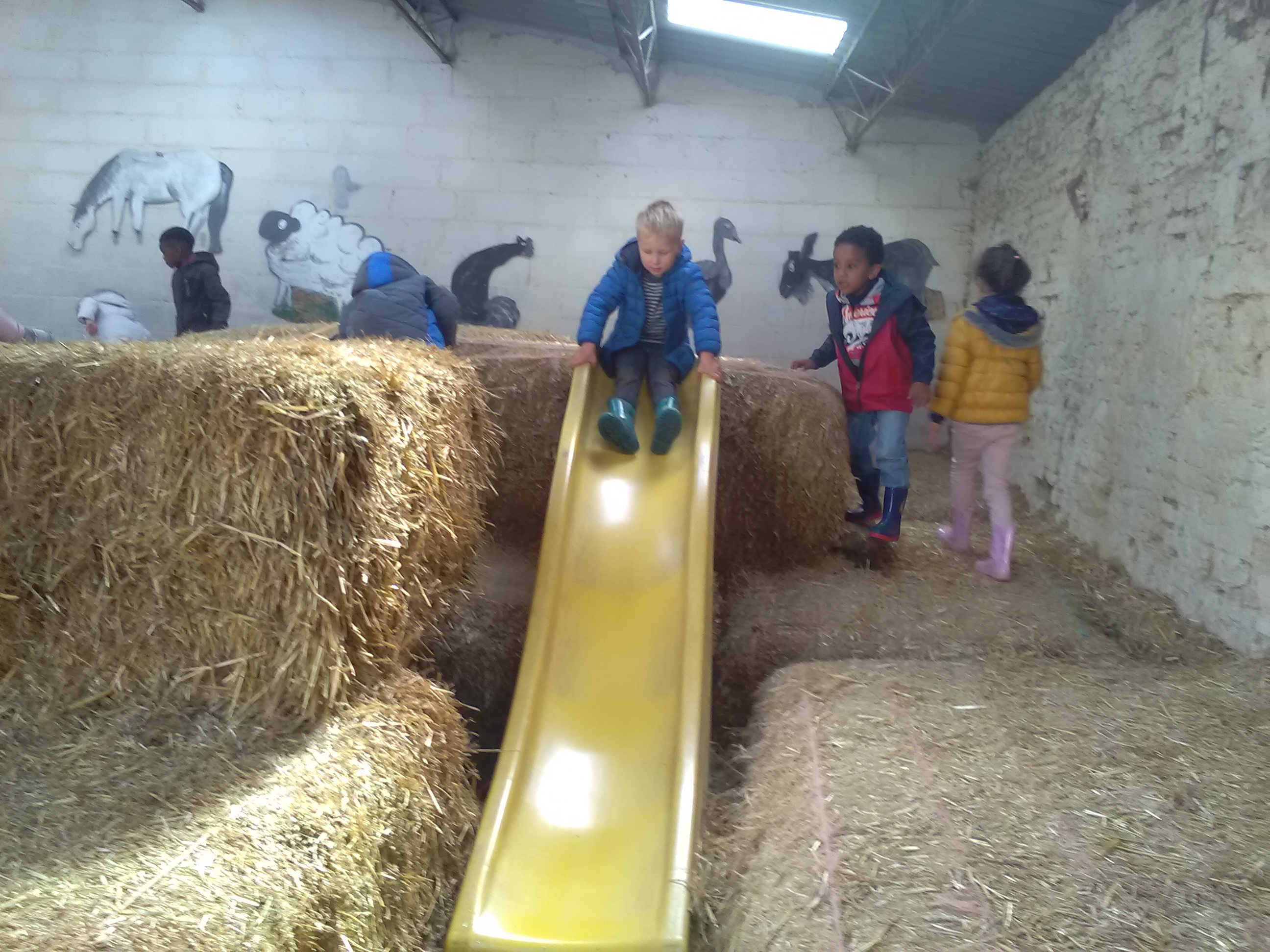 2018 mai - Ferme pédagogique de Beauffaux - 8