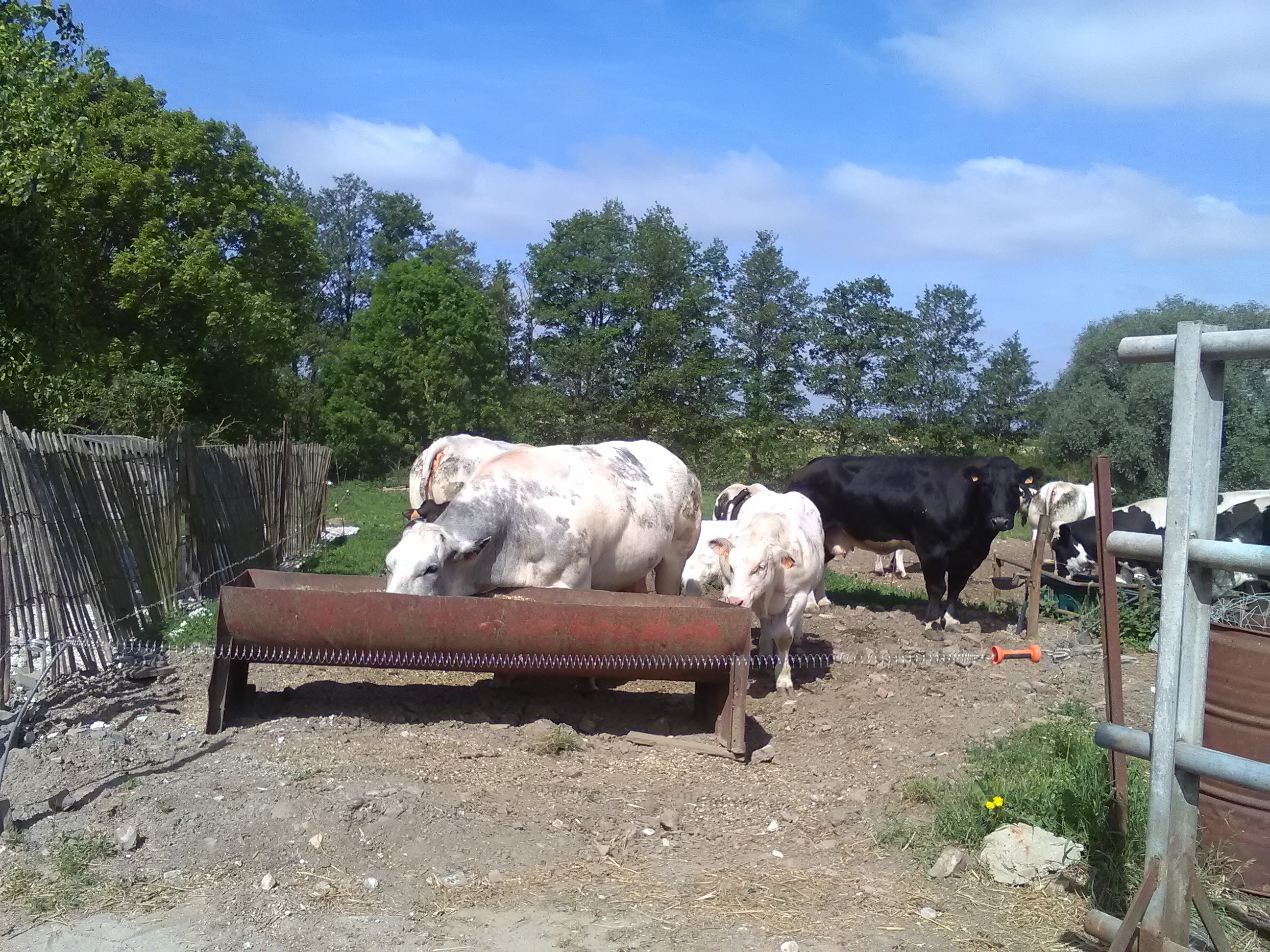 2018 mai - Ferme pédagogique de Beauffaux - 7