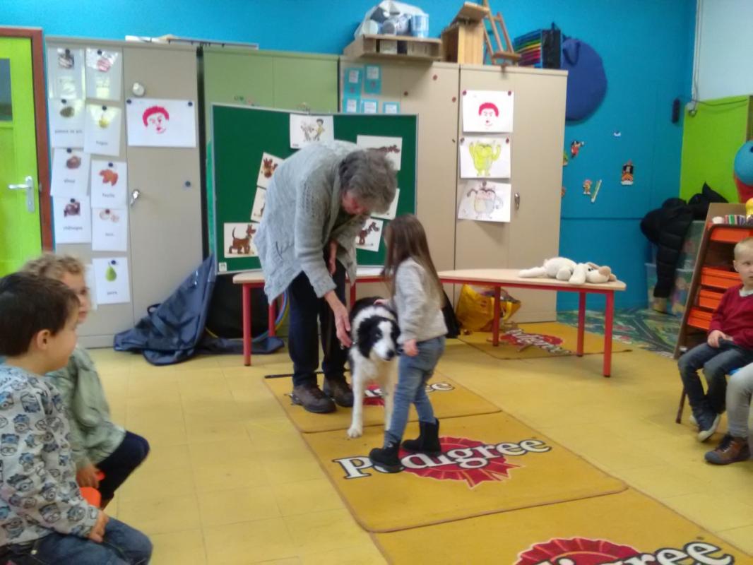 Activ' Dog ASBL 4